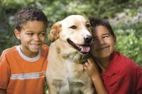 petinsurance