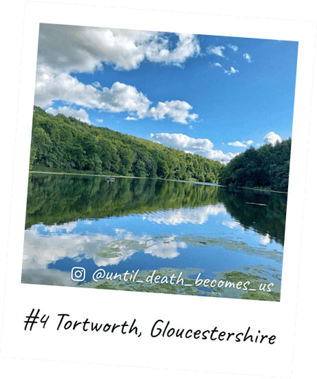 Tortworth, Gloucestershire polaroid