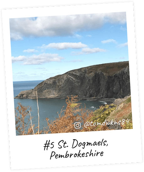 St. Dogmaels, Pembrokeshire polaroid